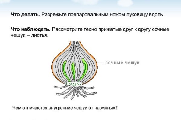 Актуальная ссылка на кракен