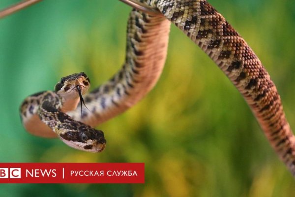 Кракен офф сайт