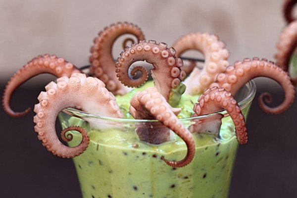 Kraken 26at