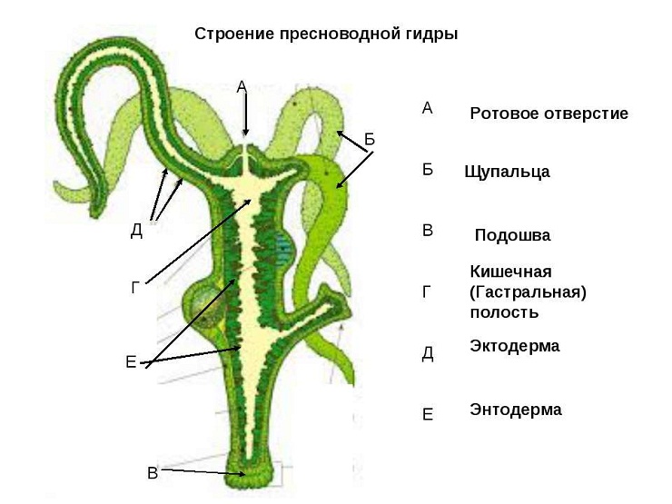 Ссылка на кракен площадка